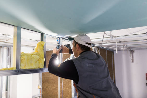Best Insulation Installation Services in Socastee, SC
