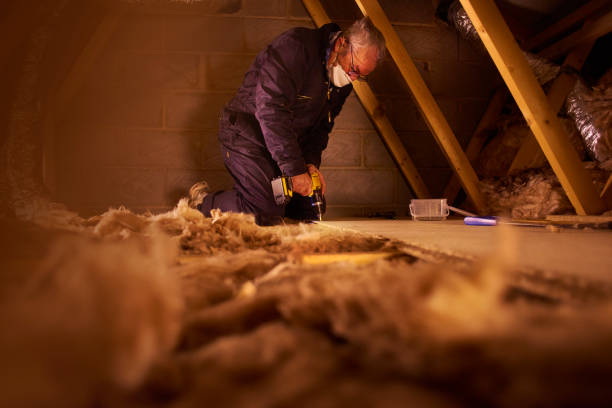 Best Insulation Installation Services in Socastee, SC